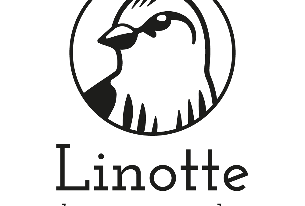 Linotte