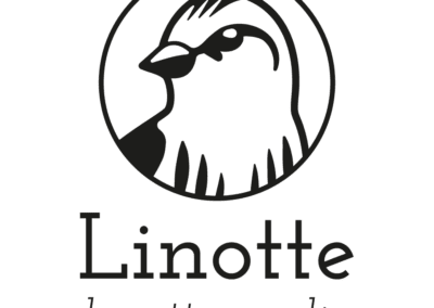 Linotte